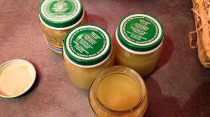 12310447_520945758062491_561154512304902429_n